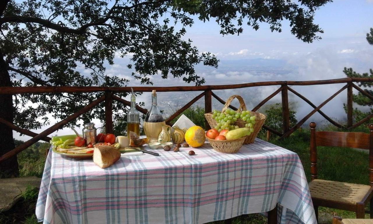La Casa Gialla Belvedere Кортона Екстериор снимка