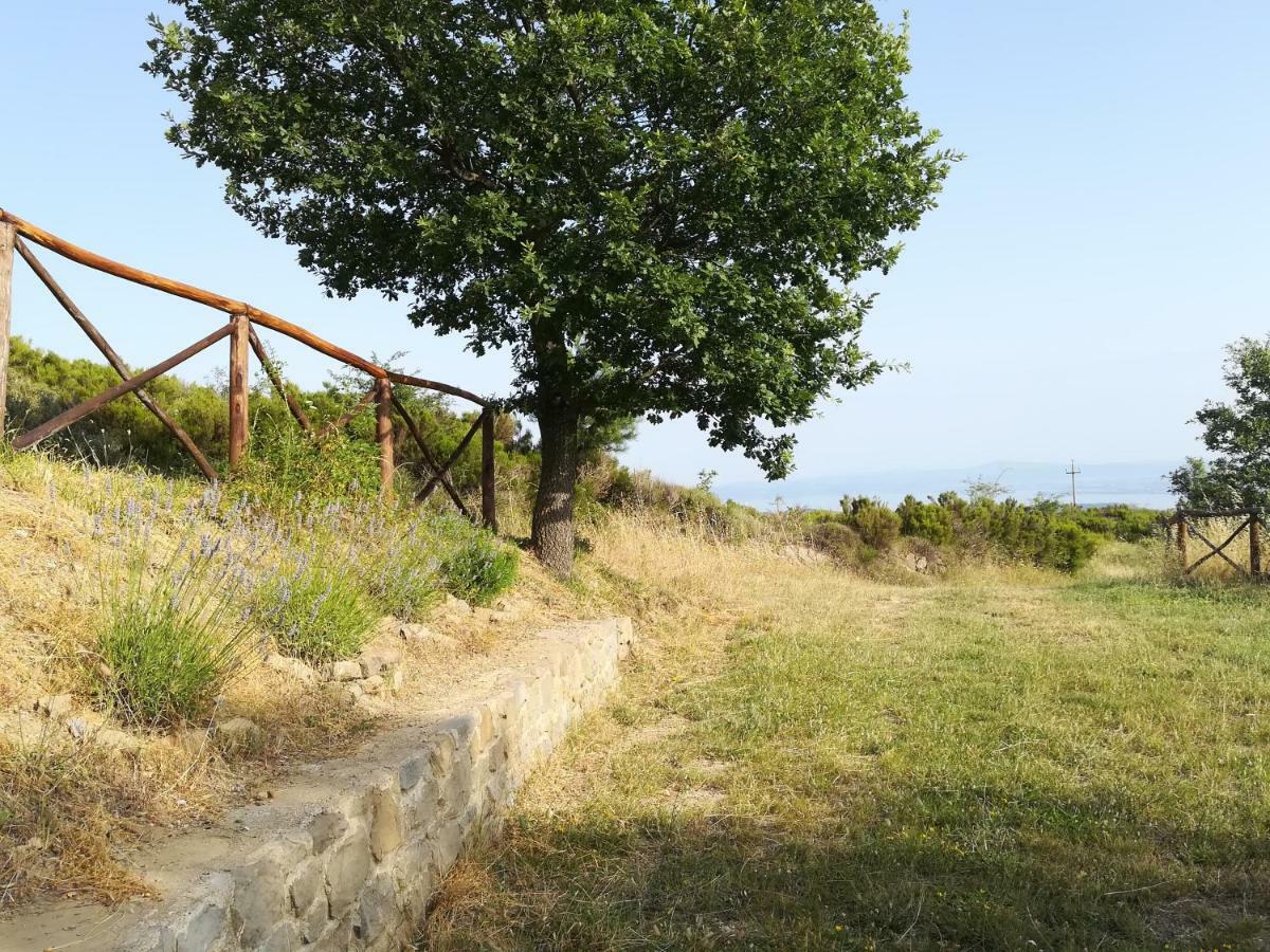 La Casa Gialla Belvedere Кортона Екстериор снимка